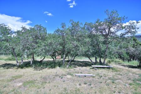 Mountain Home on Acreage for sale in Collbran, Colorado - image 15