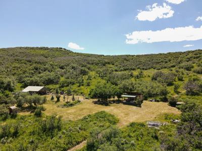 Mountain Home on Acreage for sale in Collbran, Colorado - image 23