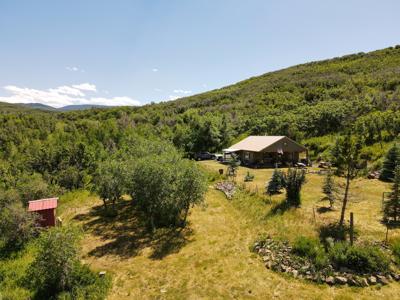 Mountain Home on Acreage for sale in Collbran, Colorado - image 24