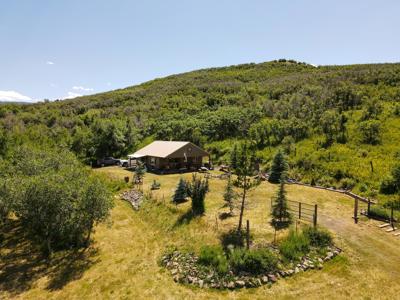 Mountain Home on Acreage for sale in Collbran, Colorado - image 1