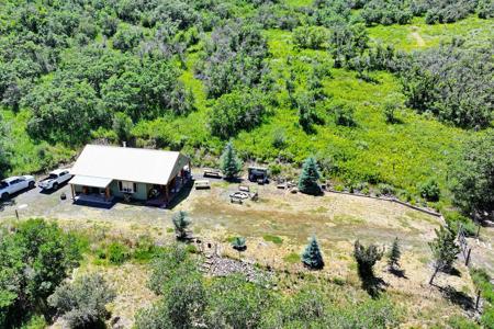 Mountain Home on Acreage for sale in Collbran, Colorado - image 12