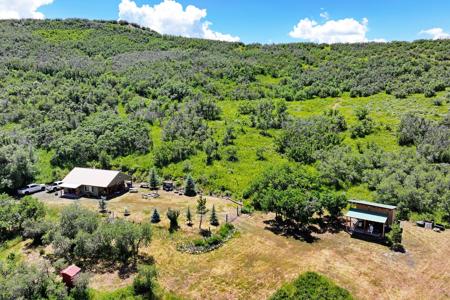 Mountain Home on Acreage for sale in Collbran, Colorado - image 11