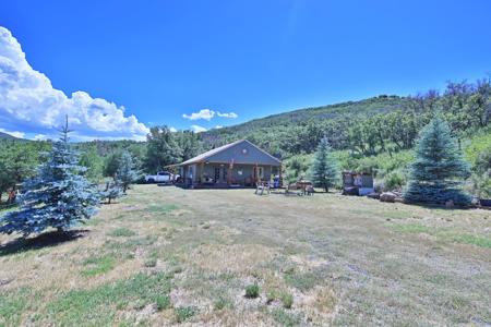 Mountain Home on Acreage for sale in Collbran, Colorado - image 17