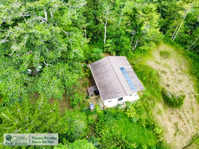 Possible Owner Finance in Bocas del Toro, Panama! - image 5
