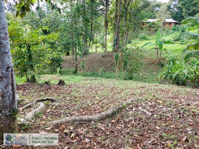 Possible Owner Finance in Bocas del Toro, Panama! - image 10