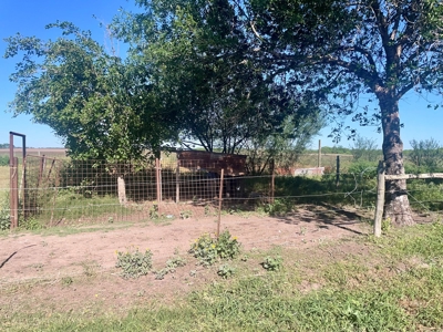 Country Home with 10 Acres in Skidmore - image 31