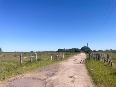 Country Home with 10 Acres in Skidmore - image 2