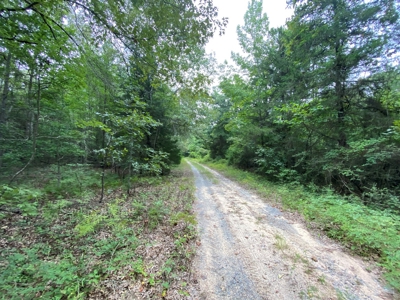 Land For Sale near Tatum, TX - image 21