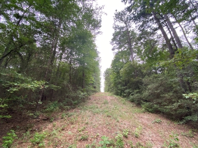 Land For Sale near Tatum, TX - image 12