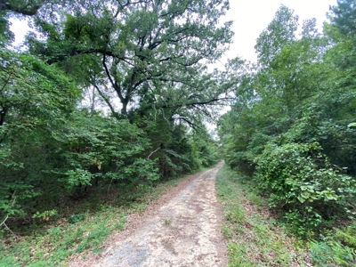 Land For Sale near Tatum, TX - image 20