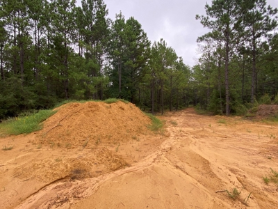 Land For Sale near Tatum, TX - image 6
