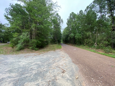 Land For Sale near Tatum, TX - image 30