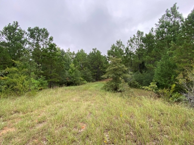 Land For Sale near Tatum, TX - image 25