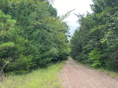 Land For Sale near Tatum, TX - image 24