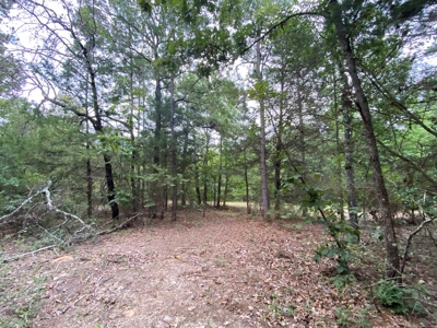Land For Sale near Tatum, TX - image 8