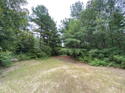 Land For Sale near Tatum, TX - image 27