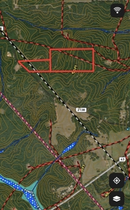 Land For Sale near Tatum, TX - image 38