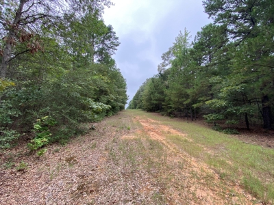 Land For Sale near Tatum, TX - image 19