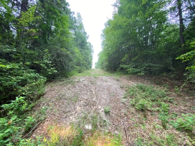 Land For Sale near Tatum, TX - image 11