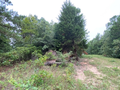 Land For Sale near Tatum, TX - image 15