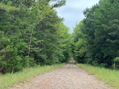 Land For Sale near Tatum, TX - image 23