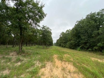Land For Sale near Tatum, TX - image 5