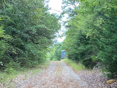 Land For Sale near Tatum, TX - image 22