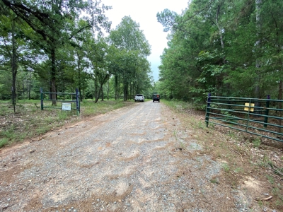 Land For Sale near Tatum, TX - image 31