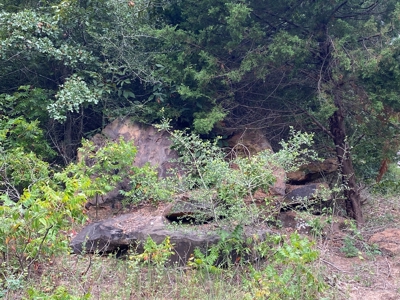 Land For Sale near Tatum, TX - image 14