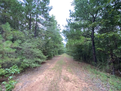 Land For Sale near Tatum, TX - image 9