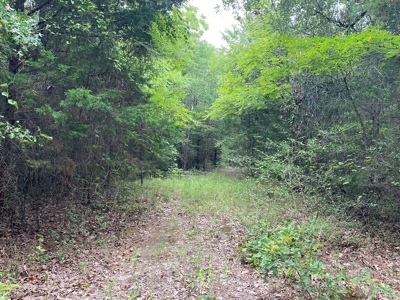 Land For Sale near Tatum, TX - image 1