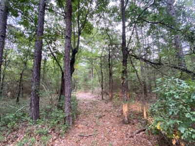 Land For Sale near Tatum, TX - image 7