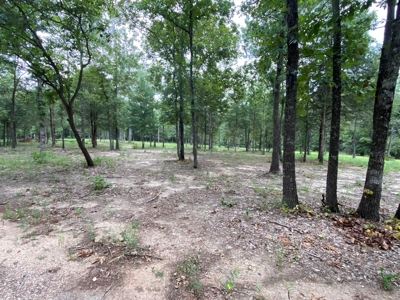 Land For Sale near Tatum, TX - image 3
