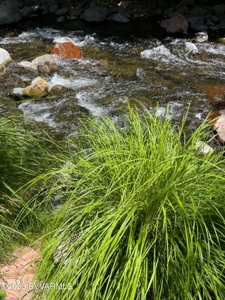 Rare Find Next to Oak Creek in Sedona - image 17