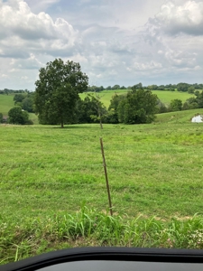 Kentucky Land for Sale, Bath Co - image 10