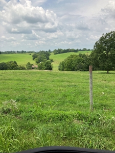 Kentucky Land for Sale, Bath Co - image 14