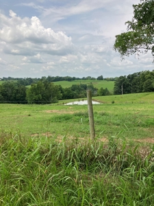 Kentucky Land for Sale, Bath Co - image 11
