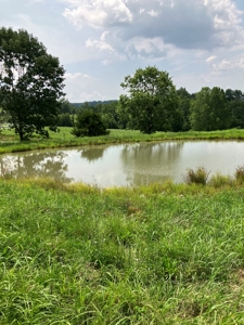 Kentucky Land for Sale, Bath Co - image 15