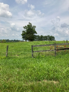 Kentucky Land for Sale, Bath Co - image 2