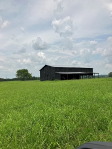 Kentucky Land for Sale, Bath Co - image 6