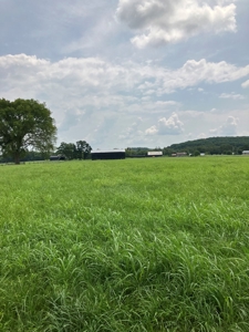Kentucky Land for Sale, Bath Co - image 12