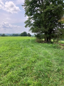 Kentucky Land for Sale, Bath Co - image 9