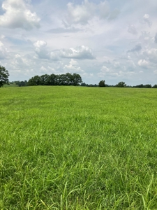 Kentucky Land for Sale, Bath Co - image 1