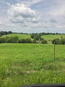Kentucky Land for Sale, Bath Co - image 13