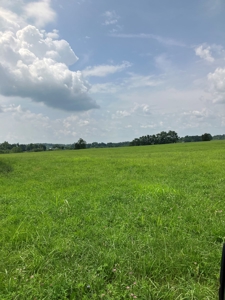 Kentucky Land for Sale, Bath Co - image 4
