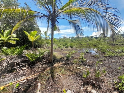 Island Lot For Sale Across Bay From Bocas Town, Panama - image 5