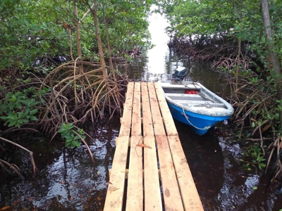 Island Lot For Sale Across Bay From Bocas Town, Panama - image 7