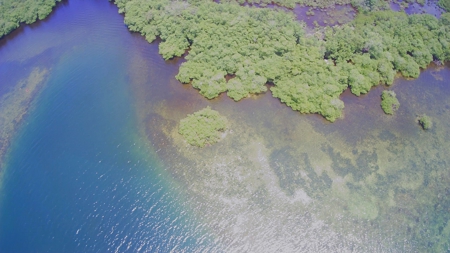 Island Lot For Sale Across Bay From Bocas Town, Panama - image 1