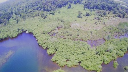Island Lot For Sale Across Bay From Bocas Town, Panama - image 2