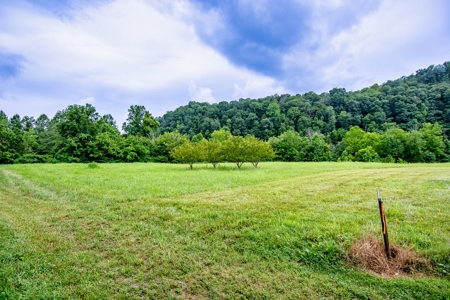 Accepted Offer in Jamestown, KY - image 7